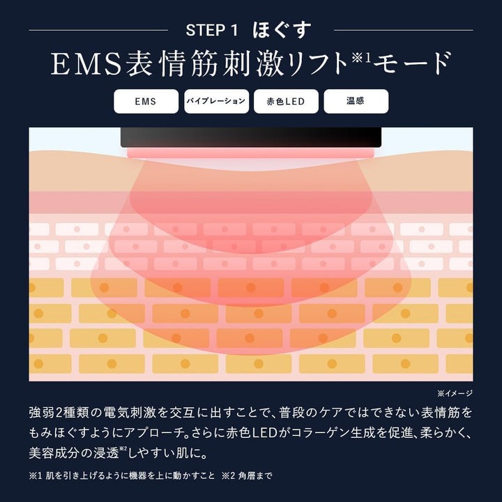 月額6,800円レンタルプラン:DISM EMS EER メンズスキンケアデバイス BOT-2310 ブラック