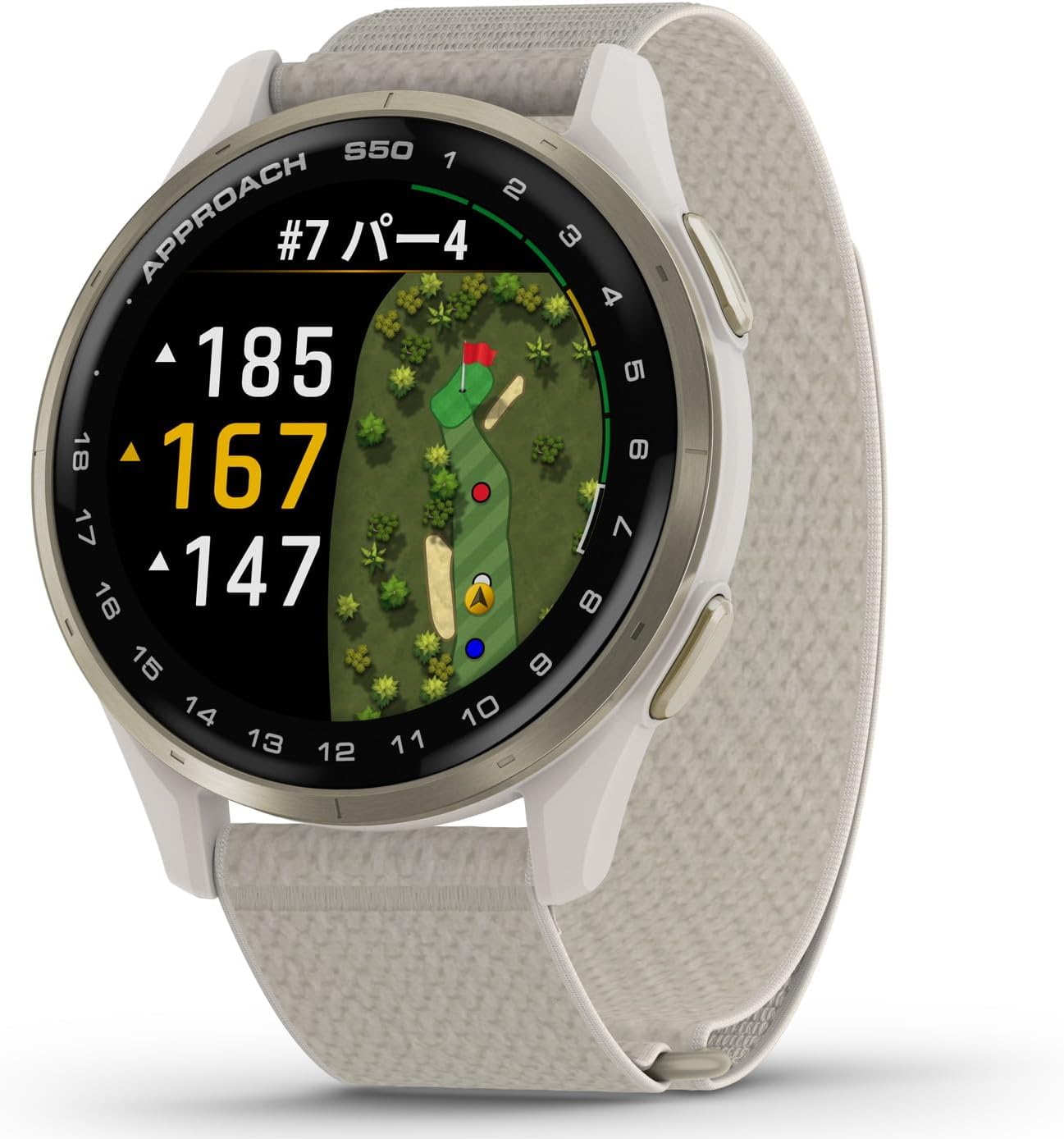 月額8,800円レンタルプラン：GARMIN Approach S50 ゴルフGPSスマート