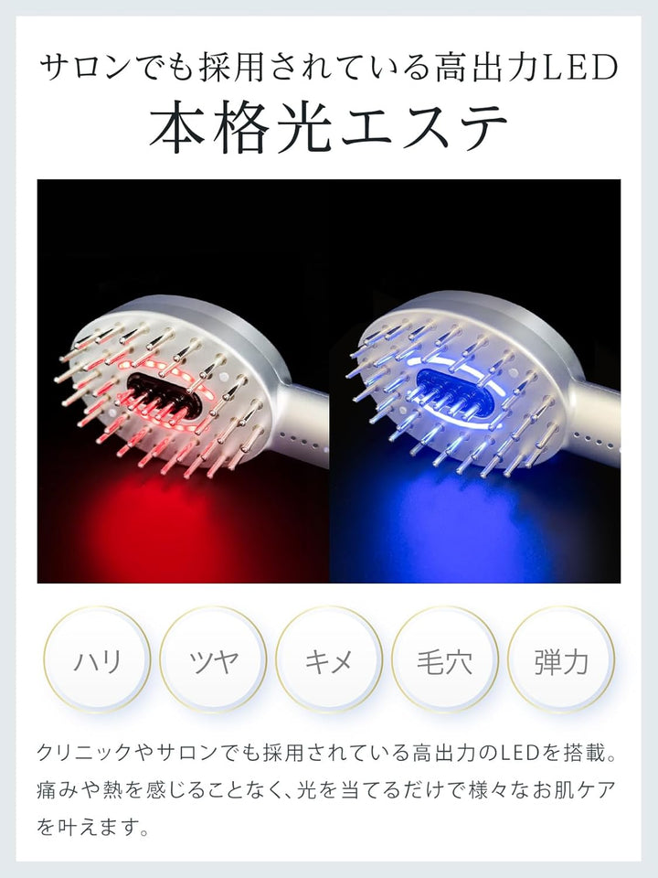 月額2,880円レンタルプラン:NIPLUX EMS LIFT BRUSH ブラシ型美顔器 EMS 高速振動 NP-ELB23SV シルバー