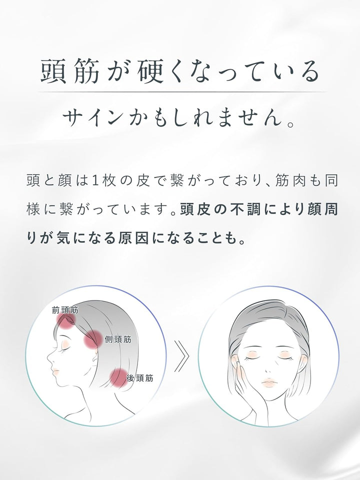 月額2,880円レンタルプラン:NIPLUX EMS LIFT BRUSH ブラシ型美顔器 EMS 高速振動 NP-ELB23SV シルバー