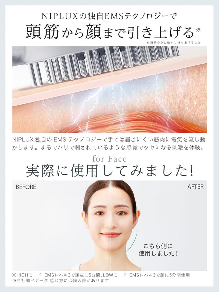 月額2,880円レンタルプラン:NIPLUX EMS LIFT BRUSH ブラシ型美顔器 EMS 高速振動 NP-ELB23SV シルバー