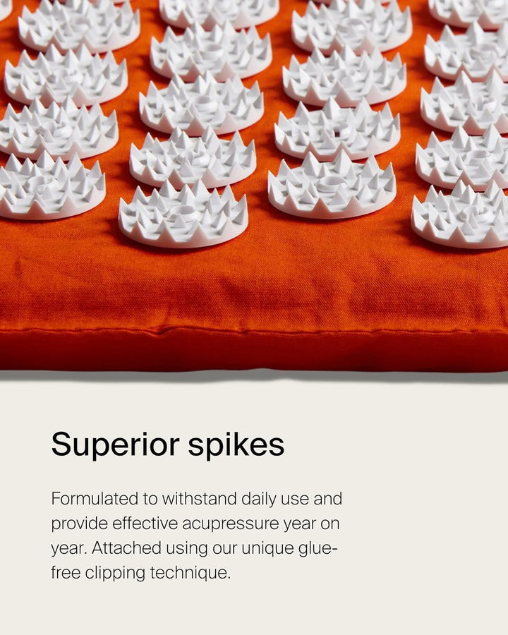 月額2,980円レンタルプラン:シャクティマット