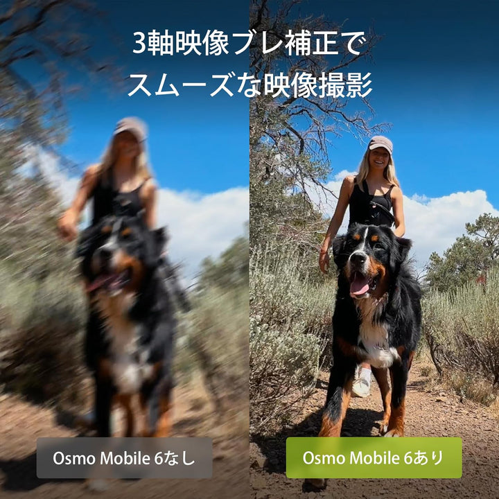 月額1,980円レンタルプラン:DJI Osmo Mobile 6 om6 スレートグレー