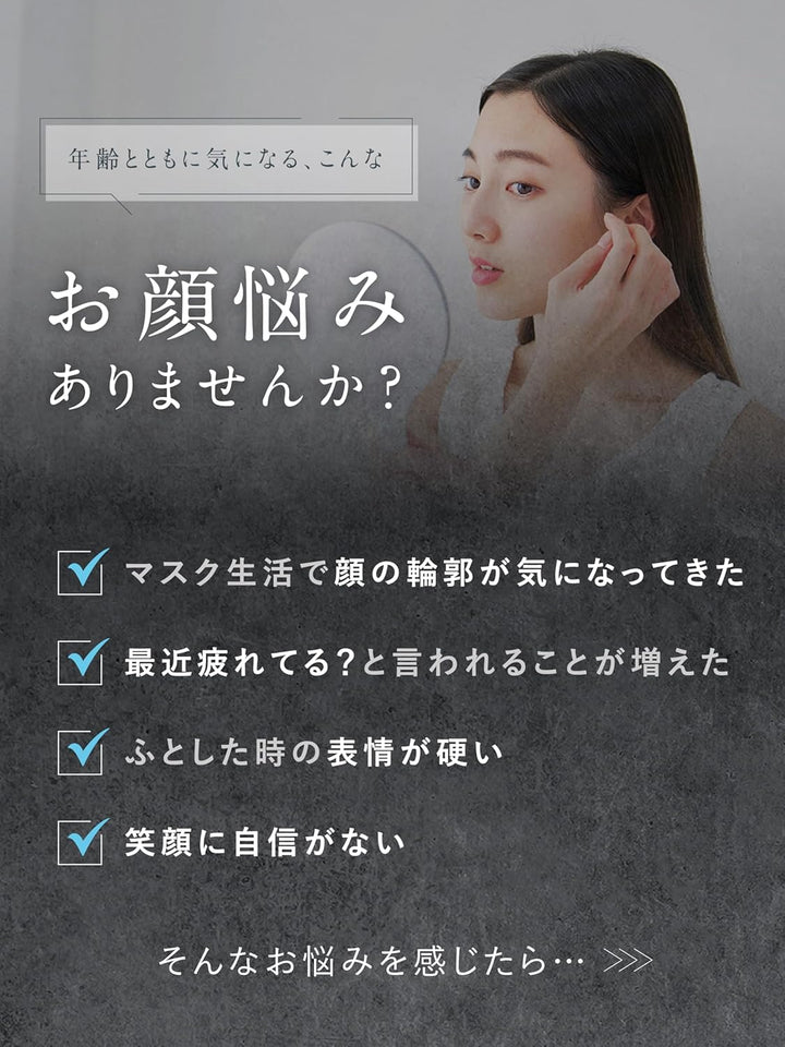 月額2,880円レンタルプラン:NIPLUX EMS LIFT BRUSH ブラシ型美顔器 EMS 高速振動 NP-ELB23SV シルバー