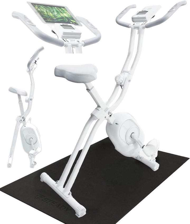 月額2,880円レンタルプラン:STEADY フィットネスバイク 背もたれなし ST102