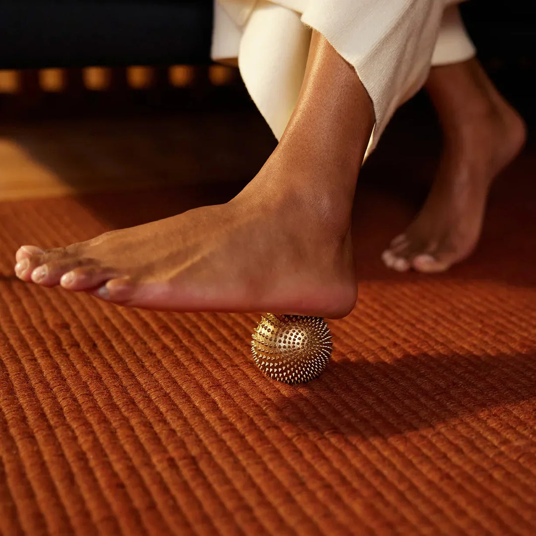 月額2,380円レンタルプラン：シャクティ ワンダーボール リラクゼーション