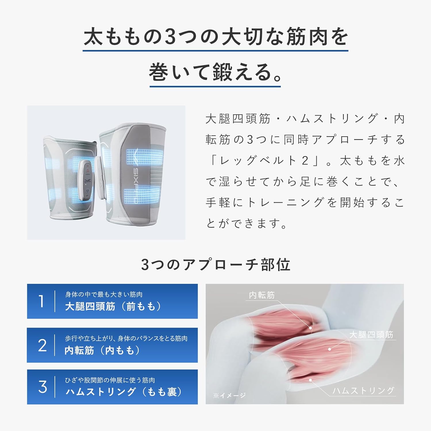月額7,980円レンタルプラン：シックスパッド レッグベルト2