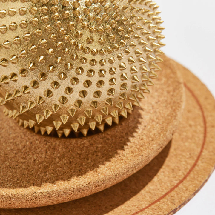 月額2,380円レンタルプラン：シャクティ ワンダーボール リラクゼーション