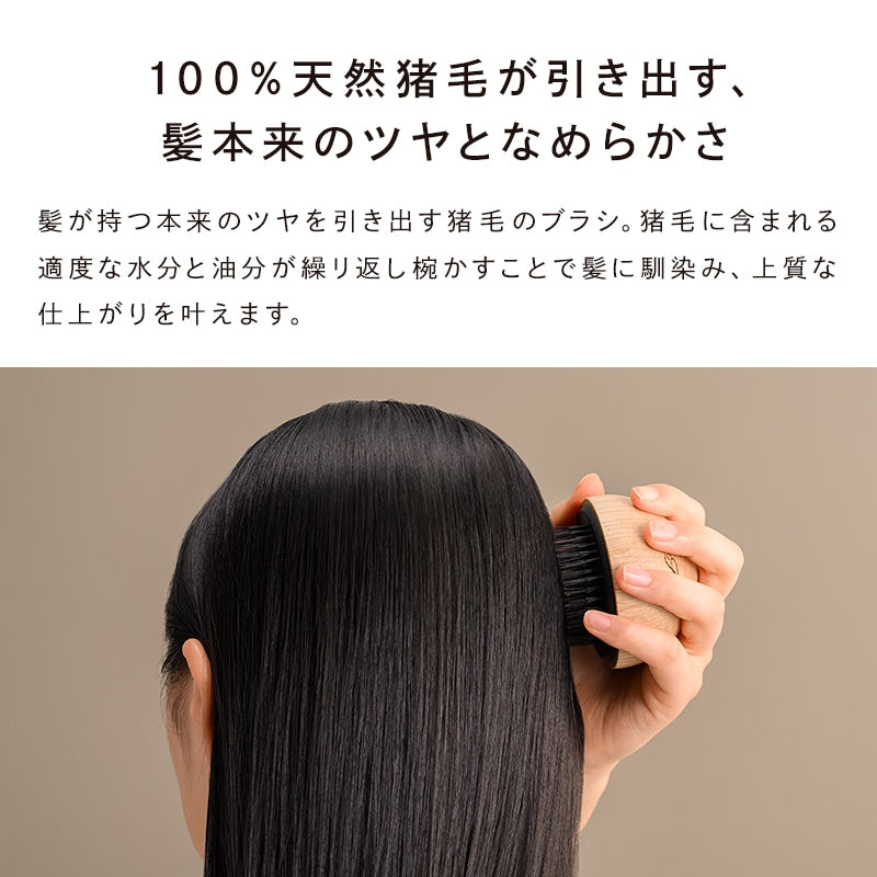 月額6,680円レンタルプラン：MTG リファ ブリッスル ヘアケア RS-BG