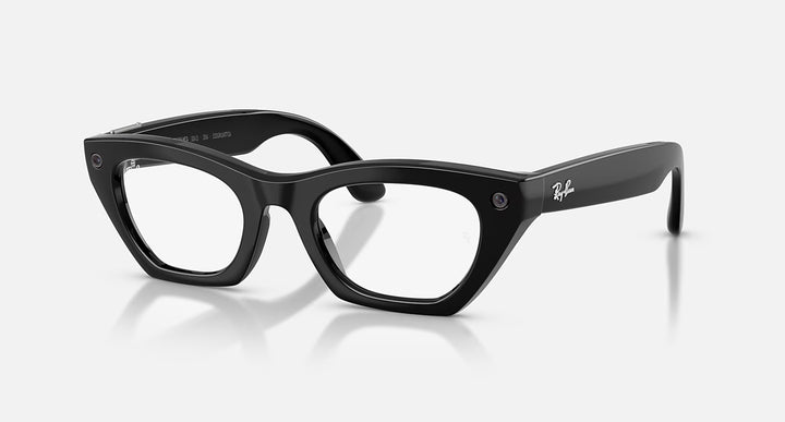 月額13,800円レンタルプラン：RAY-BAN META (GEN 3) ZENA ARグラス