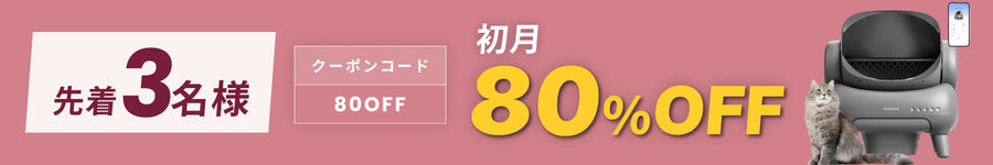 キャンペーンバナー