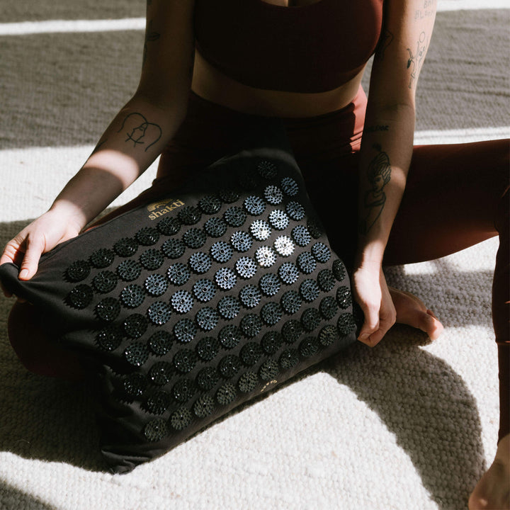 月額1,880円レンタルプラン：シャクティ プレミアムピロー