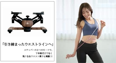 オアシス　ツイストエアロステッパー　SP-600 ツイストステッパー正規品】ツイストエアロステッパーPremium