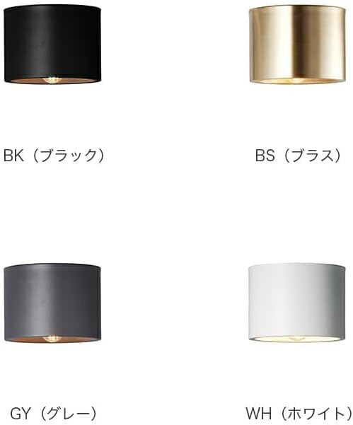 月額2,380円：アートワークスタジオ イブシーリングライト AW-0635Z-BK