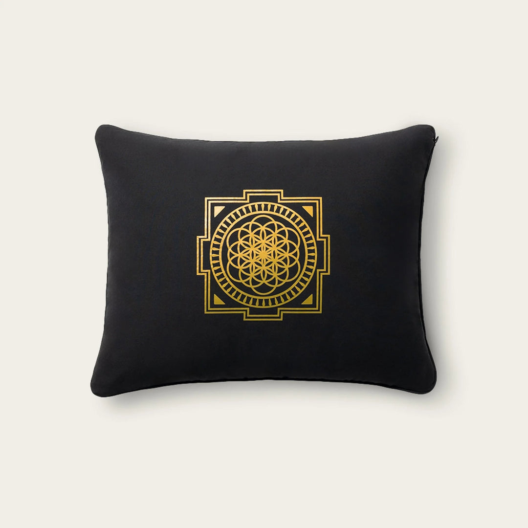 月額1,880円レンタルプラン：シャクティ プレミアムピロー