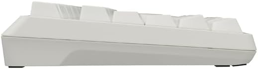 月額5,280円レンタルプラン：REALFORCE R4 キーボード ハイブリッド テンキーレス 日本語配列 TKL R4HC ホワイト