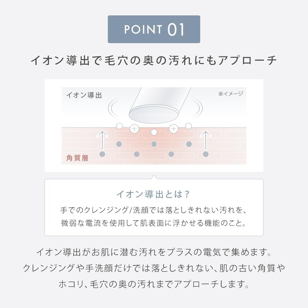 月額2,680円レンタルプラン：SALONIA イオンフェイシャルブラシ＆エクストラクリーミーフォーム 美顔器 SAL21202SL シルバー