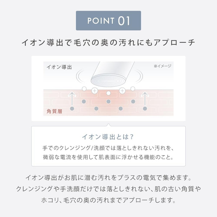 月額2,680円レンタルプラン：SALONIA イオンフェイシャルブラシ＆エクストラクリーミーフォーム 美顔器 SAL21202SL シルバー
