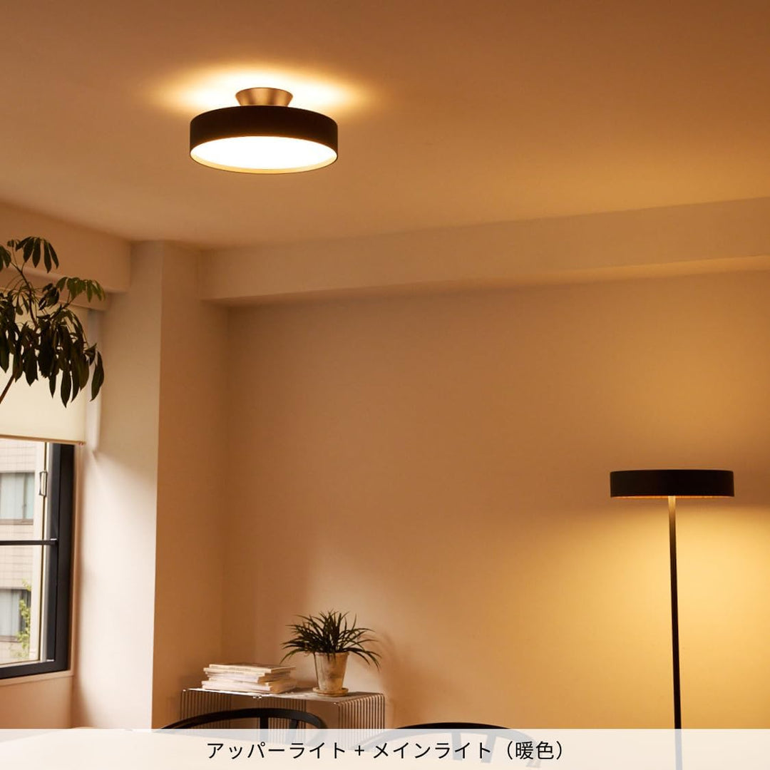 月額7,380円：アートワークスタジオ グロー LED シーリングライト4000 AW-0555E-BK/LW ブラック+ライトウッド