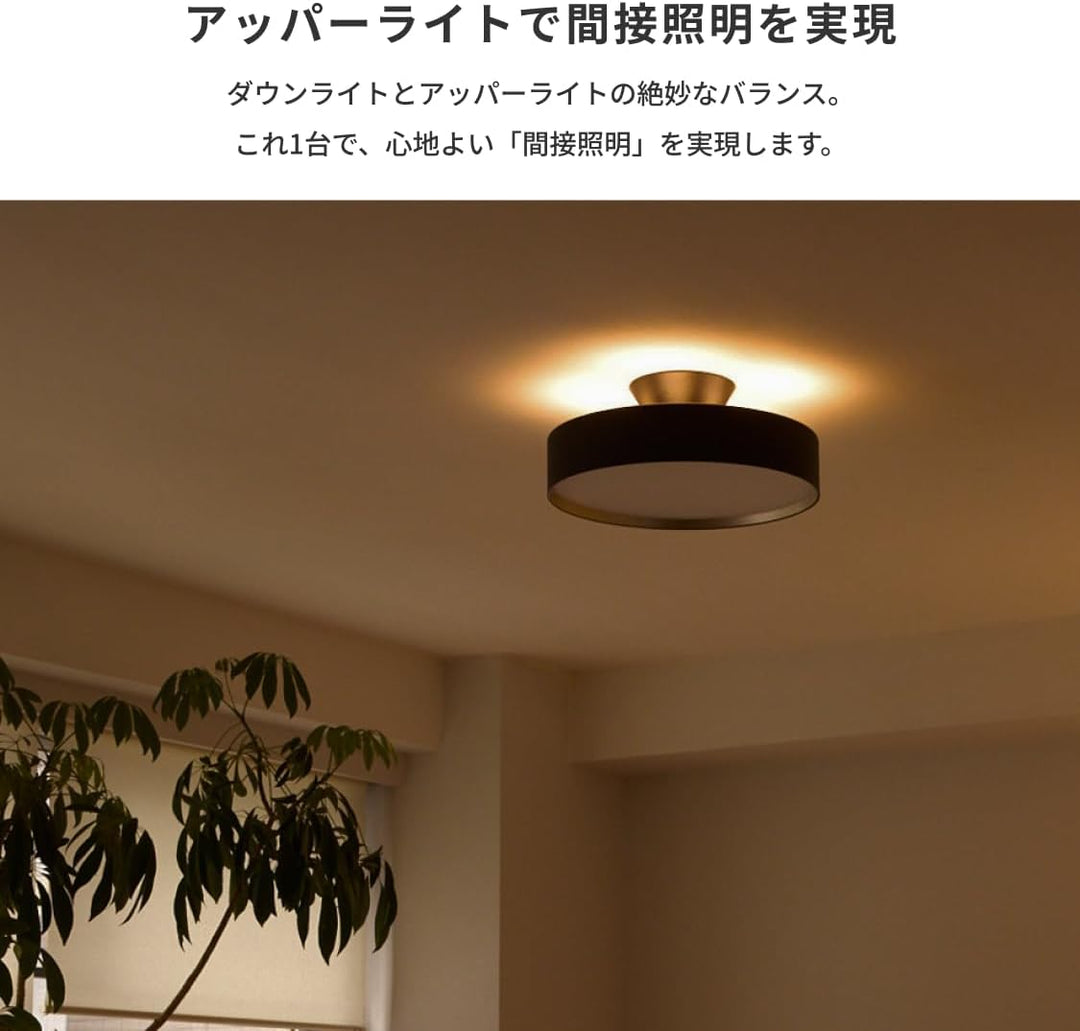月額7,380円：アートワークスタジオ グロー LED シーリングライト4000 AW-0555E-BK/LW ブラック+ライトウッド