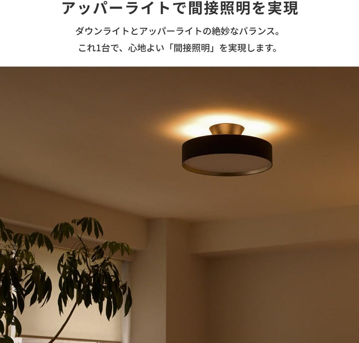 月額7,380円：アートワークスタジオ グロー LED シーリングライト4000 AW-0555E-BK/LW ブラック+ライトウッド
