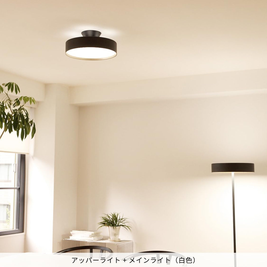月額7,380円：アートワークスタジオ グロー LED シーリングライト4000 AW-0555E-BK/LW ブラック+ライトウッド
