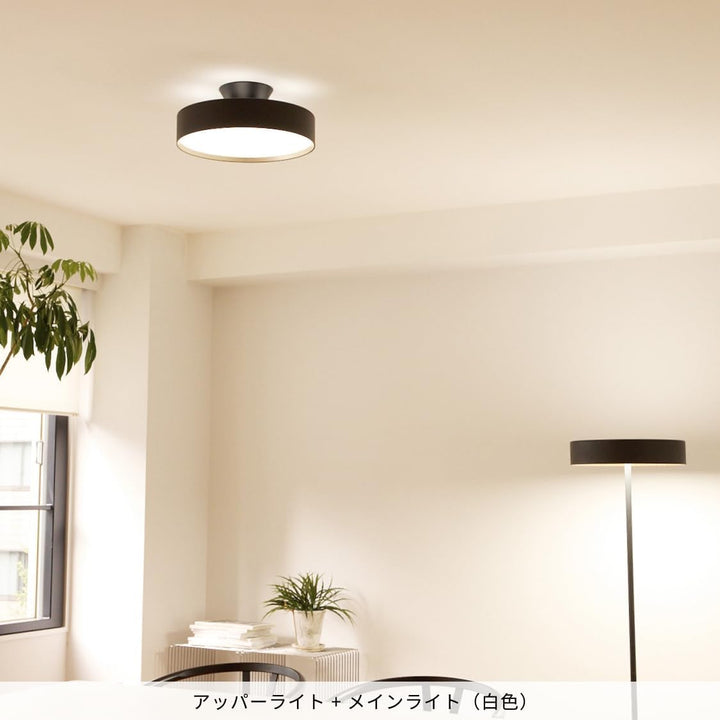 月額7,380円：アートワークスタジオ グロー LED シーリングライト4000 AW-0555E-BK/LW ブラック+ライトウッド