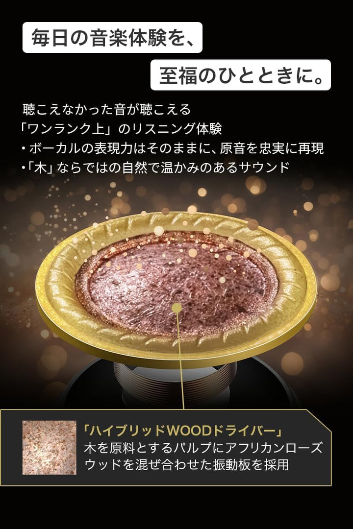 月額5,980円レンタルプラン：JVCケンウッド Victor WOOD master ワイヤレスイヤホン HA-FW5000T