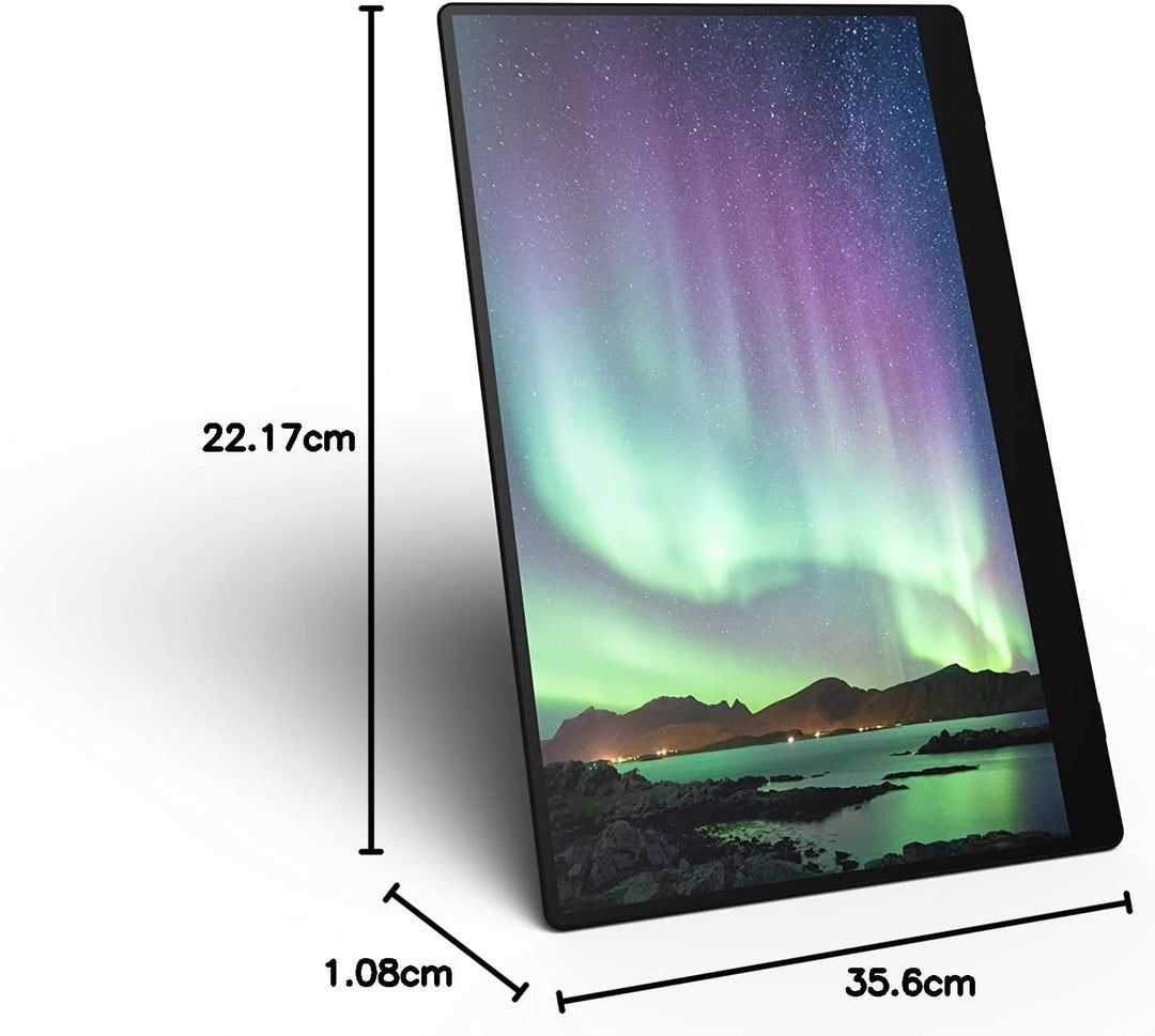 月額12,800円レンタルプラン：RICOH Light Monitor 150BW 液晶タブレット PZ-514912 ブラック