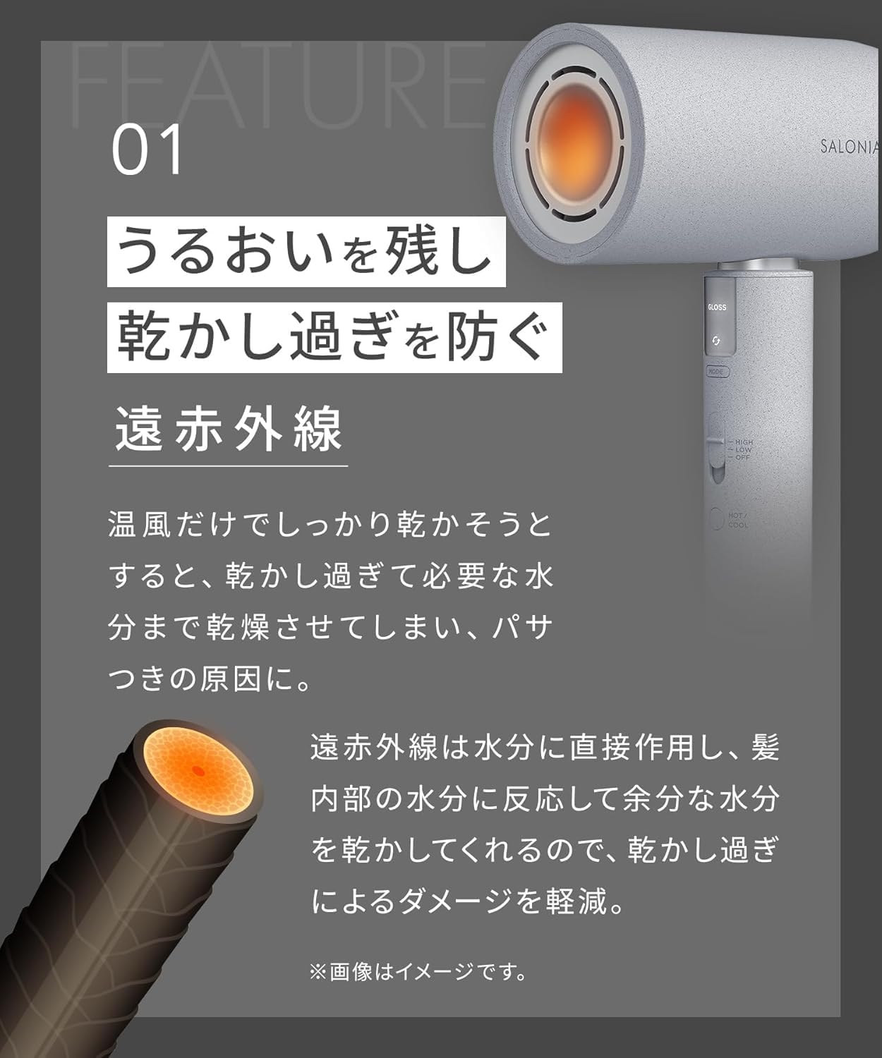 月額4,380円レンタルプラン： SALONIA エアトリートメントドライヤー
