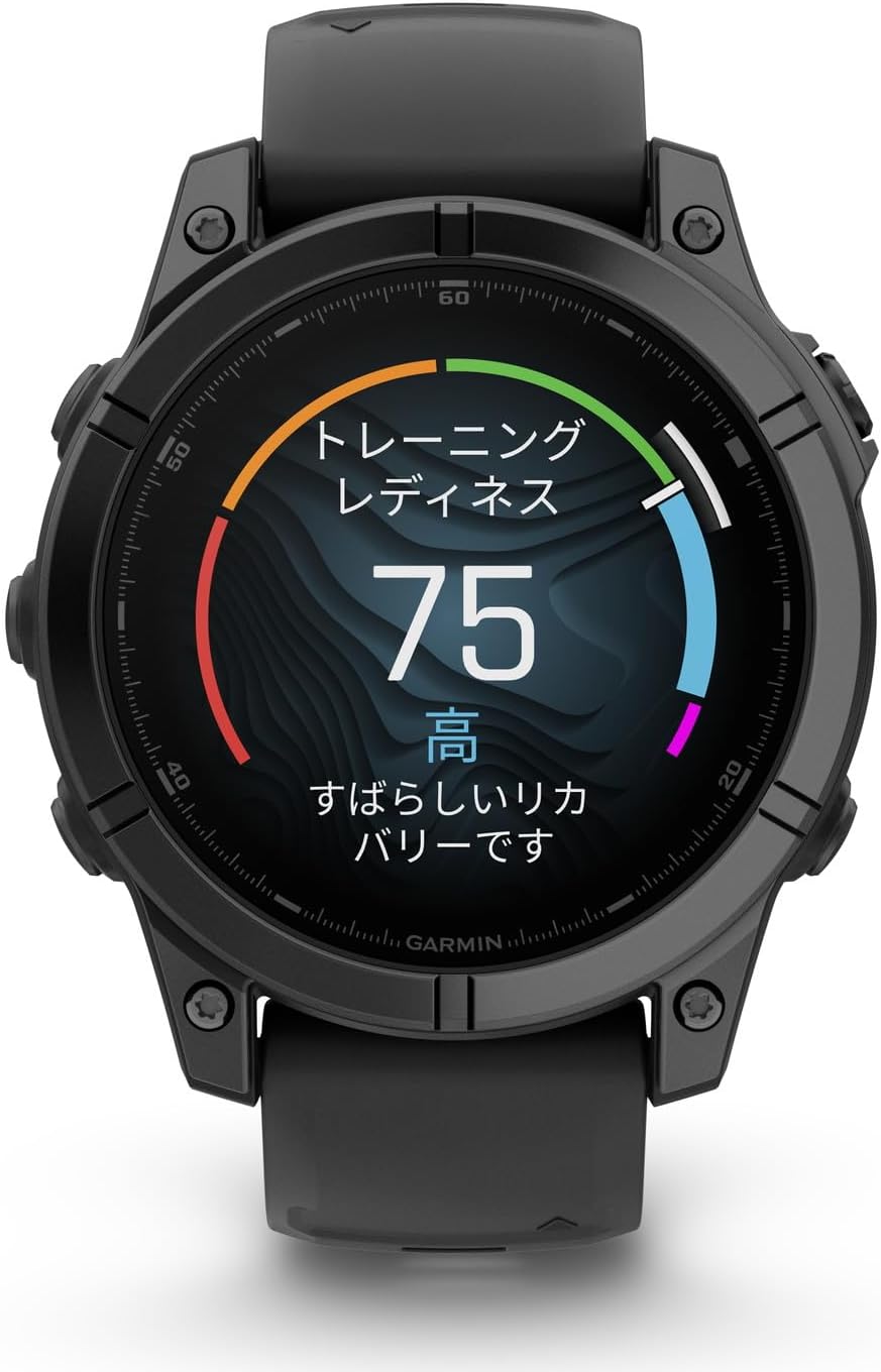 月額18,800円レンタルプラン：GARMIN fenix E 47mm GPSスマートウォッチ ゴルフ 010-03025-12 グレー