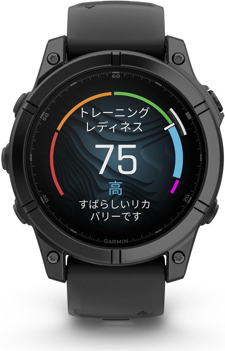 月額18,800円レンタルプラン：GARMIN fenix E 47mm GPSスマートウォッチ ゴルフ 010-03025-12 グレー