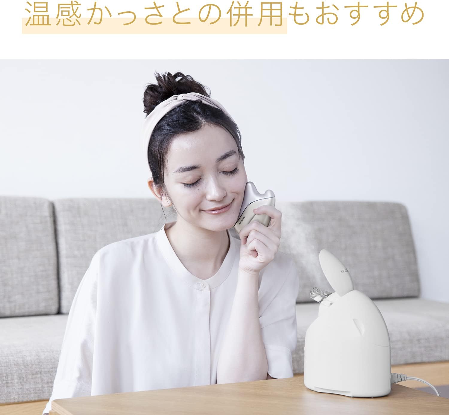 月額2,580円レンタルプラン：パナソニック スチーマー ナノケア
