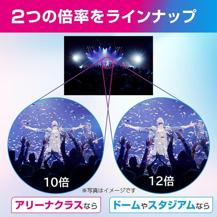 月額13,800円レンタルプラン：Nikon STABILIZED 防振双眼鏡 12x25 S 手ブレ補正 軽量 倍率10・12両方対応 STB12X25S ブラック