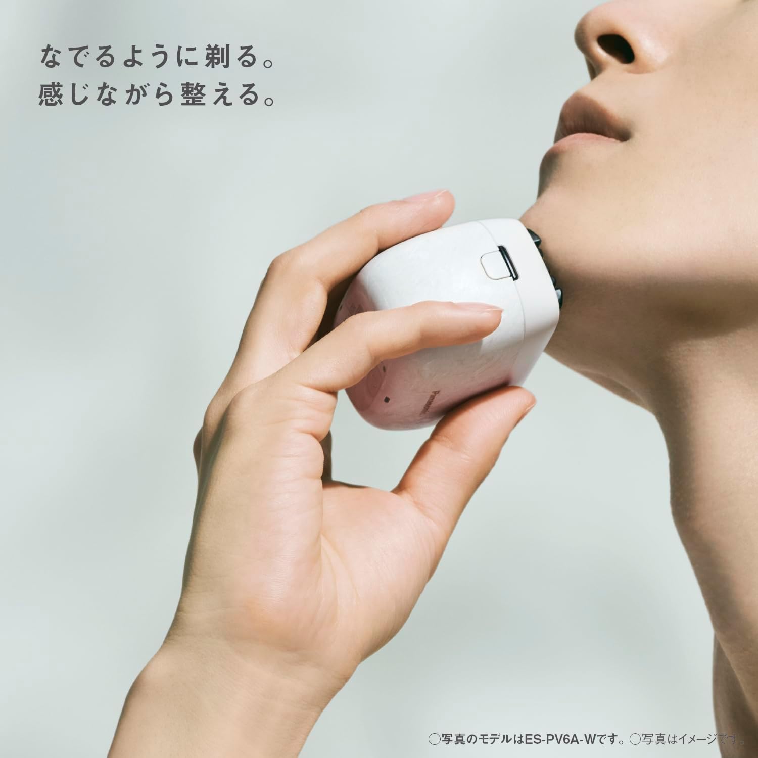 月額5,980円レンタルプラン：パナソニック ラムダッシュ パームイン
