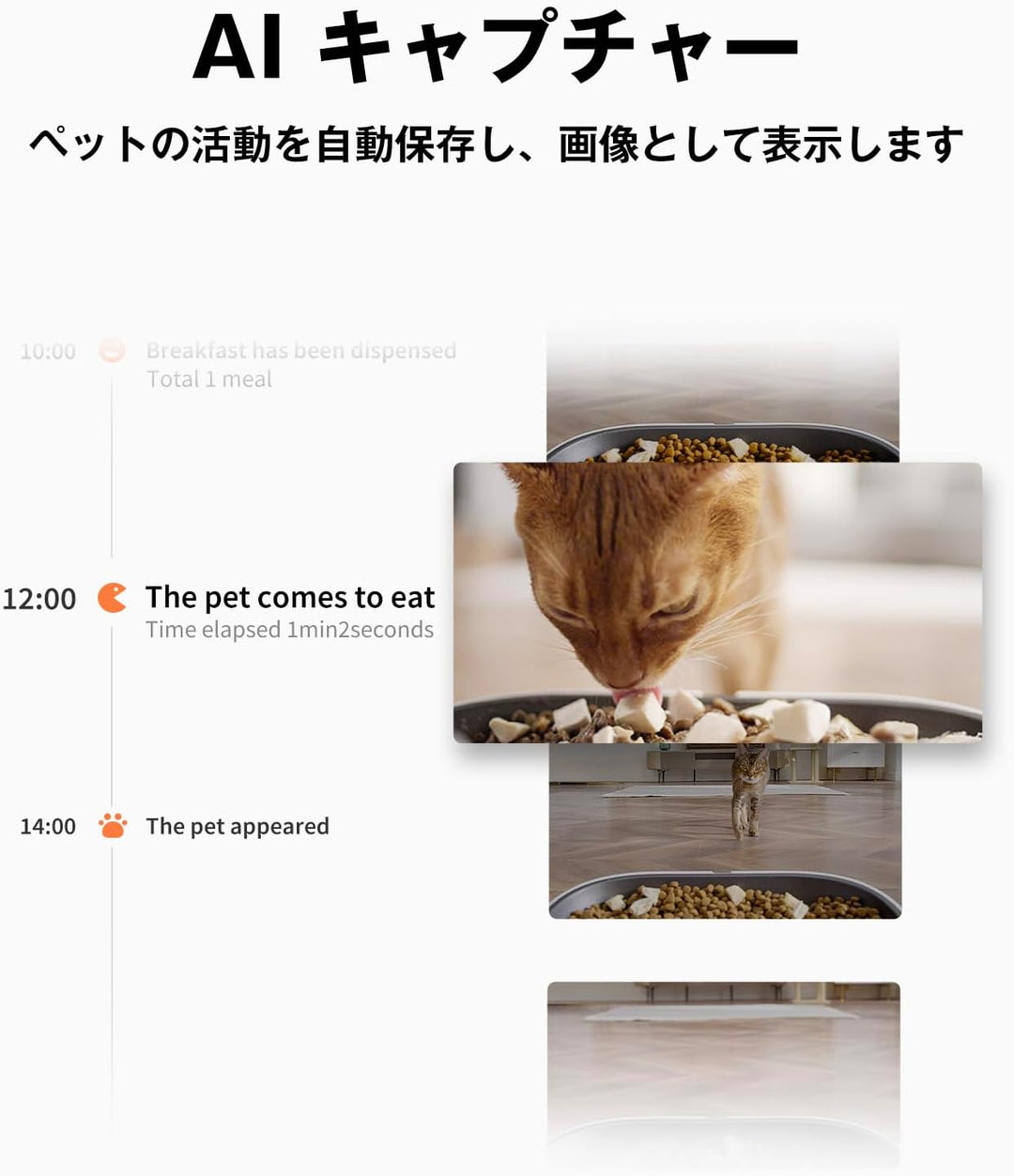 月額3,680円レンタルプラン：PETKIT 自動給餌器 ペット用品 D4