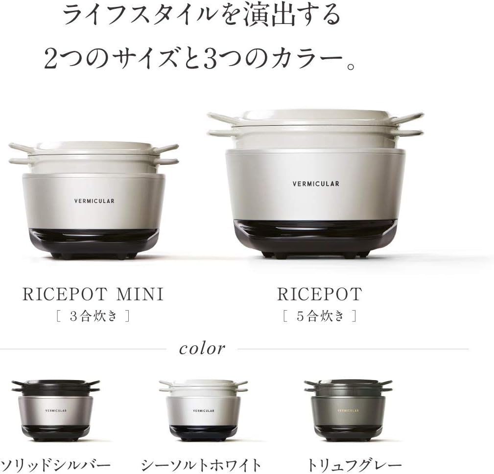 月額20,080円レンタルプラン：バーミキュラ ライスポット 炊飯器 5合炊き RP23A-SV ソリッドシルバー