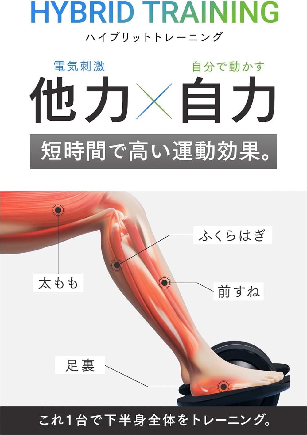 月額4,580円レンタルプラン：MYTREX マイトレックス ELEXA FOOT EMSフットローラー MT-EF22B ブラック