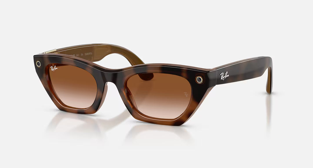 月額13,800円レンタルプラン：RAY-BAN META (GEN 3) ZENA ARグラス