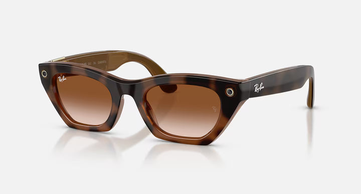 月額13,800円レンタルプラン：RAY-BAN META (GEN 3) ZENA ARグラス
