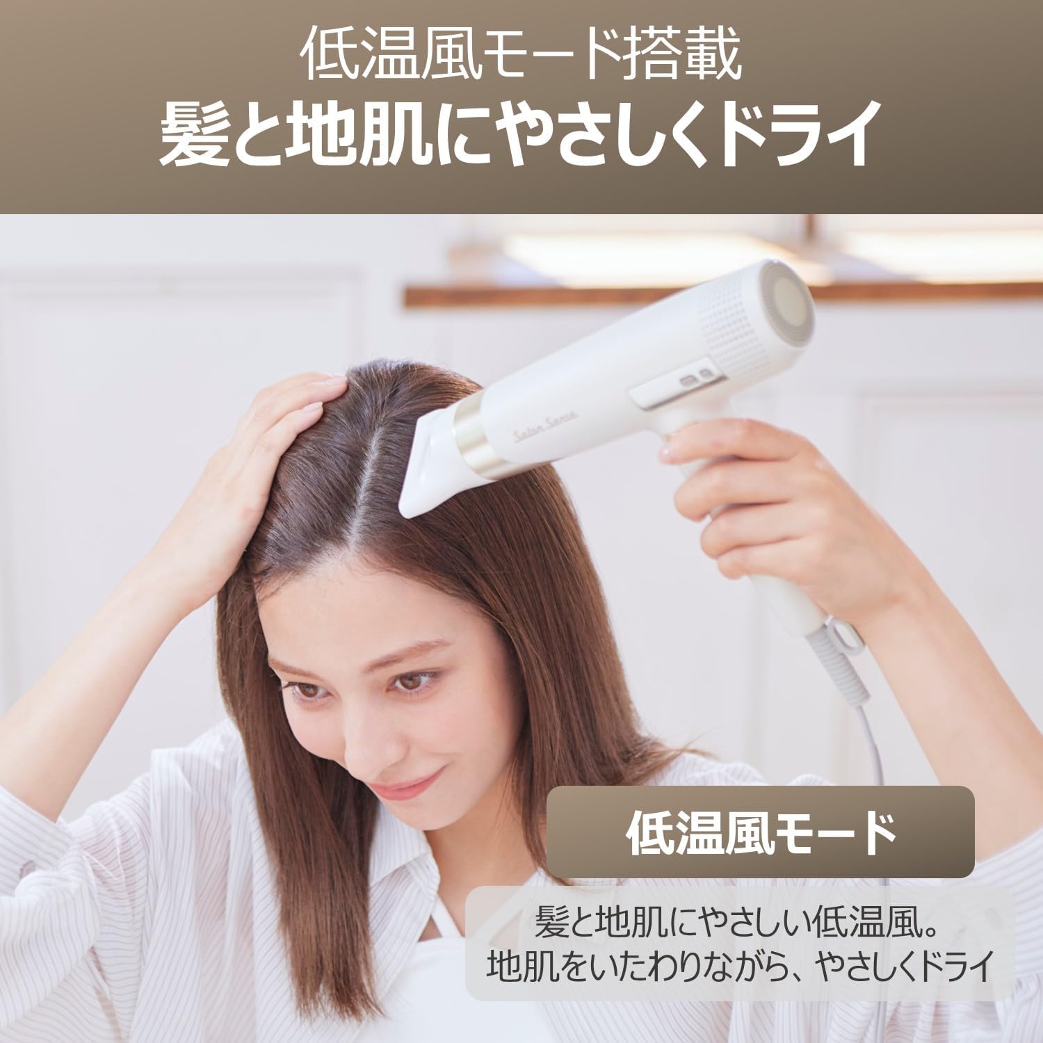 月額2,880円レンタルプラン：コイズミ サロンセンス ハイスピード