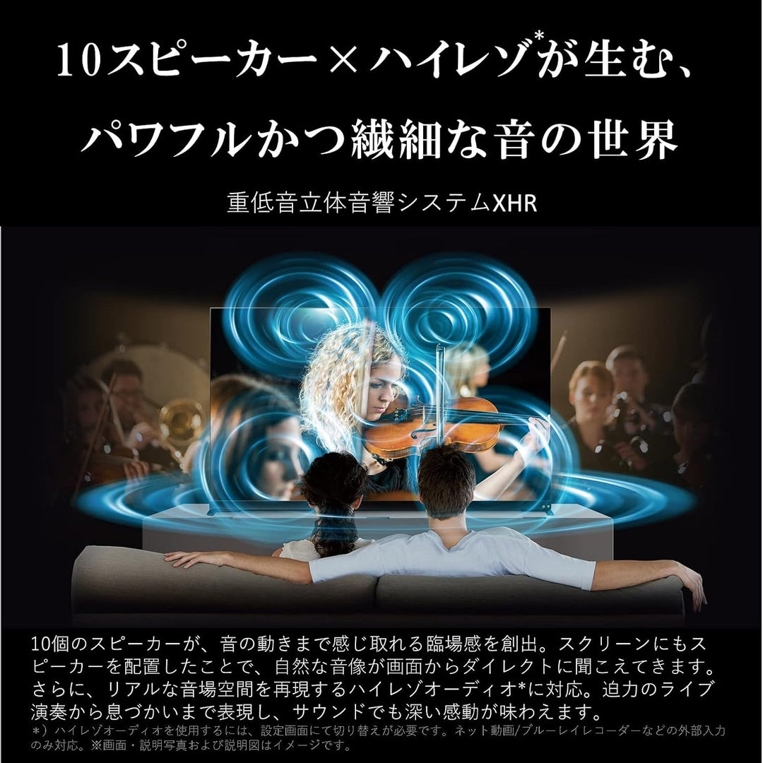 月額53,800円：REGZA 65V型 有機ELテレビ 65X9900M ブラック