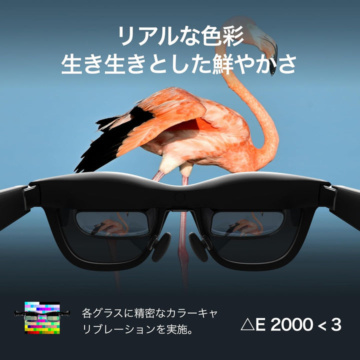 月額10,800円レンタルプラン：XREAL Air 2 Pro X1003 ブラック