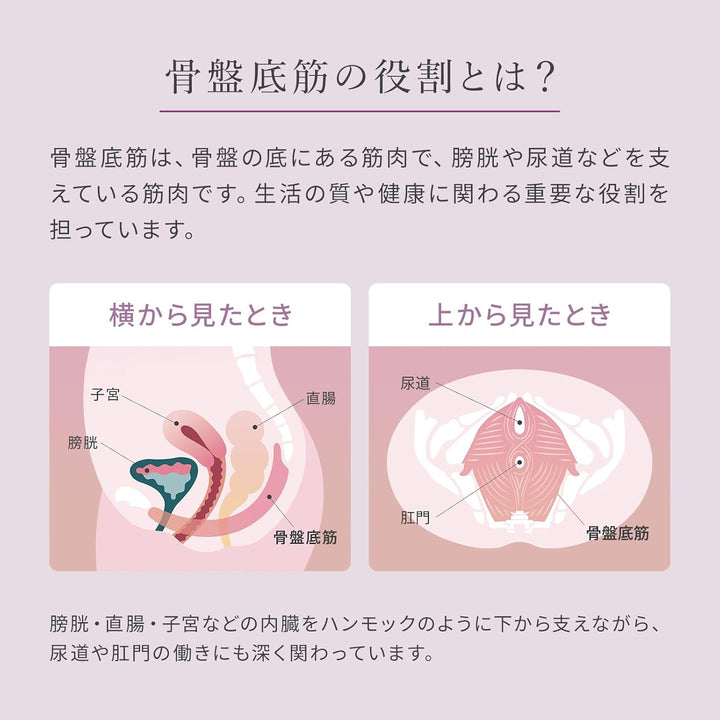 月額12,800円レンタルプラン：MTG シックスパッド Perine Fit EMS ヒップマッサージャー SE-DA-02A