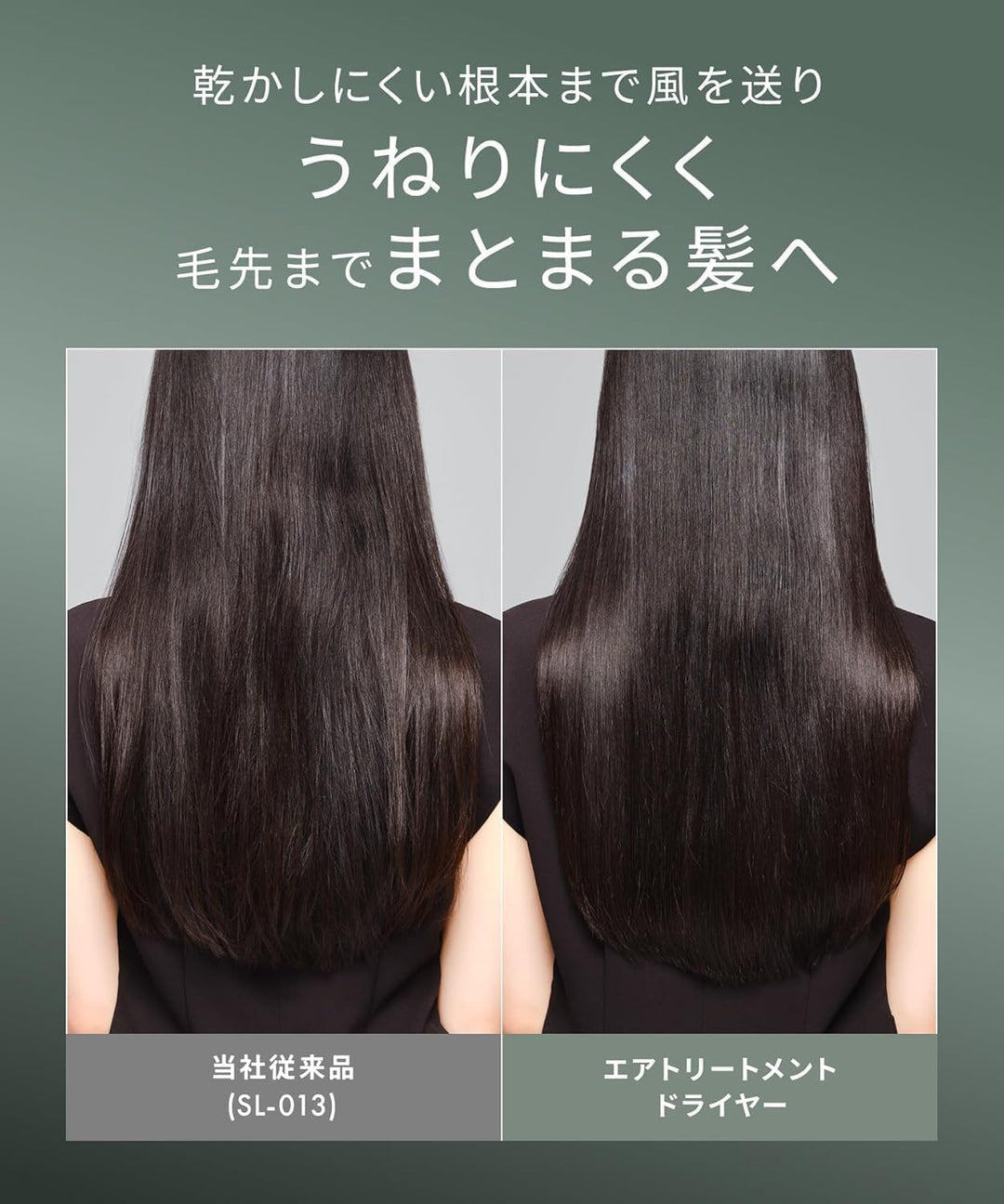 月額4,380円レンタルプラン： SALONIA エアトリートメントドライヤー SAL24211-BK