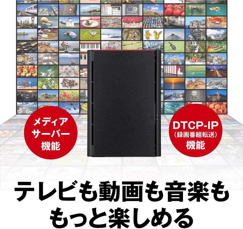月額4,880~12,800円レンタルプラン：バッファロー NAS LinkStation ネットワークHDD LS220