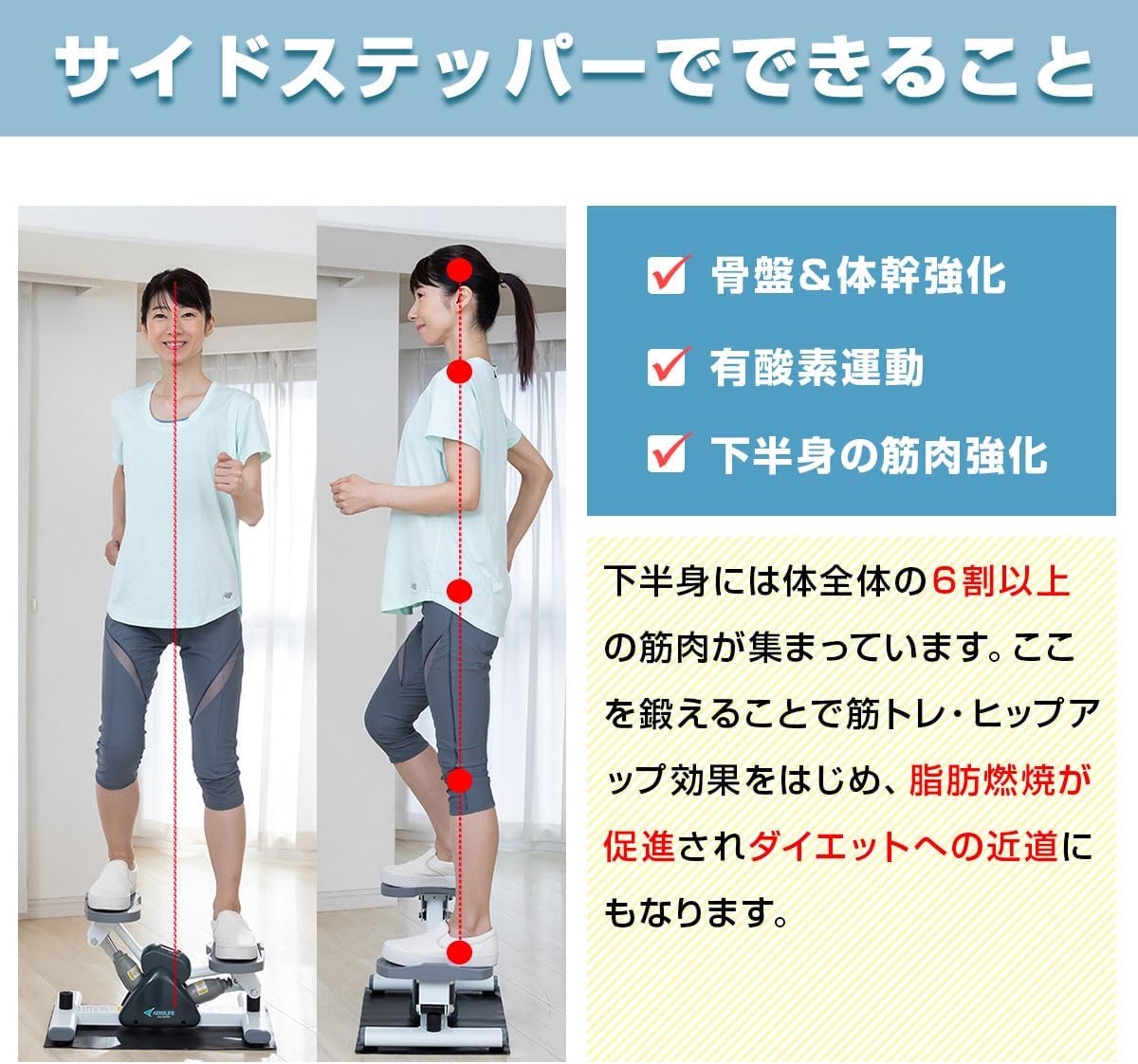 月額2,280円レンタルプラン：エアロライフ サイドステッパー 部位別