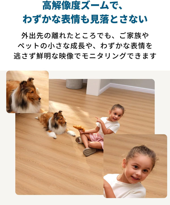月額2,380円レンタルプラン：Eufy Security Indoor Cam S350 防犯カメラ 屋外カメラ T8416521