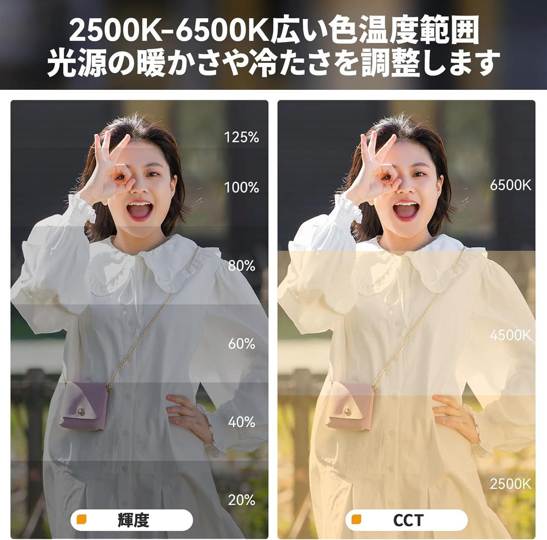 月額2,380円：Ulanzi  LEDビデオライト L023 ブラック