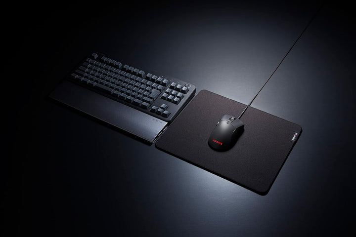 月額2,380円レンタルプラン：東プレ REALFORCE RM1 マウス RFM02U21